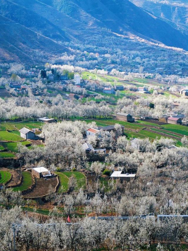 3月旅游的最佳地点，3月去什么地方旅游最好呢（三月份旅游一定要去的六个地方）