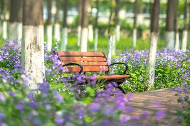 江苏师范大学排名，江苏师范大学江苏省排名第几（泰院无缘前五）