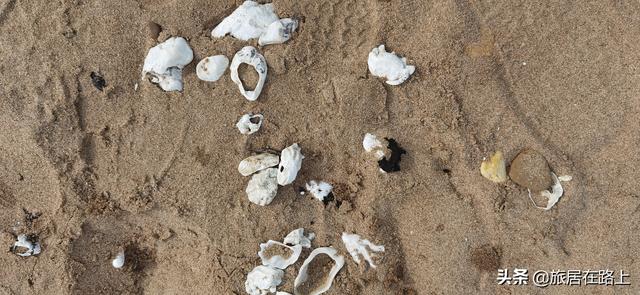 大连黄金海岸海边游玩攻略，走进东北最迷人的黄金海岸