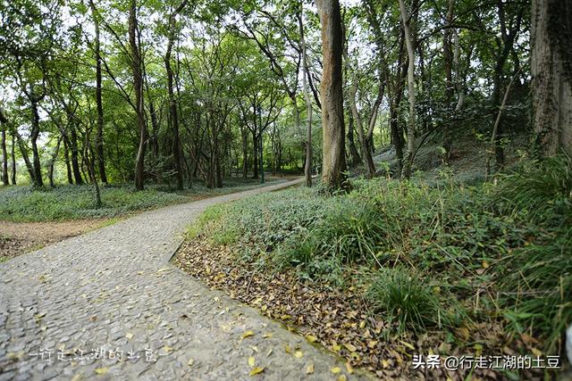 虞山国家森林公园，历史上的虞山公园