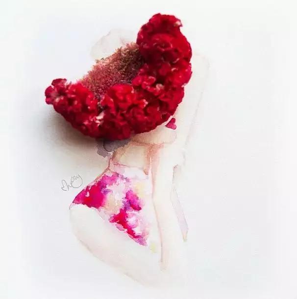 初学者的首选插花应该用哪些花材，需要进购哪些花材