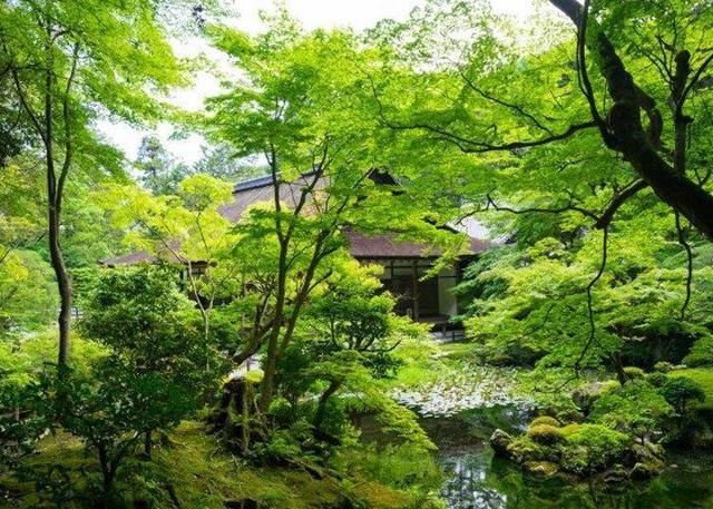  南山寺旅游攻略，南山寺最好的游览攻略