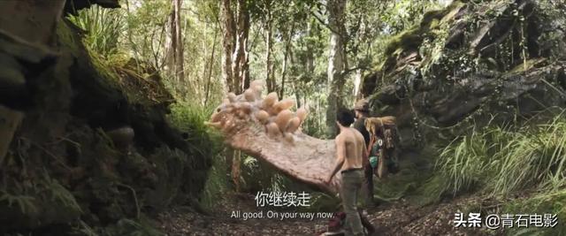 好莱坞大片冬季战争，超强冬季风暴袭击美国