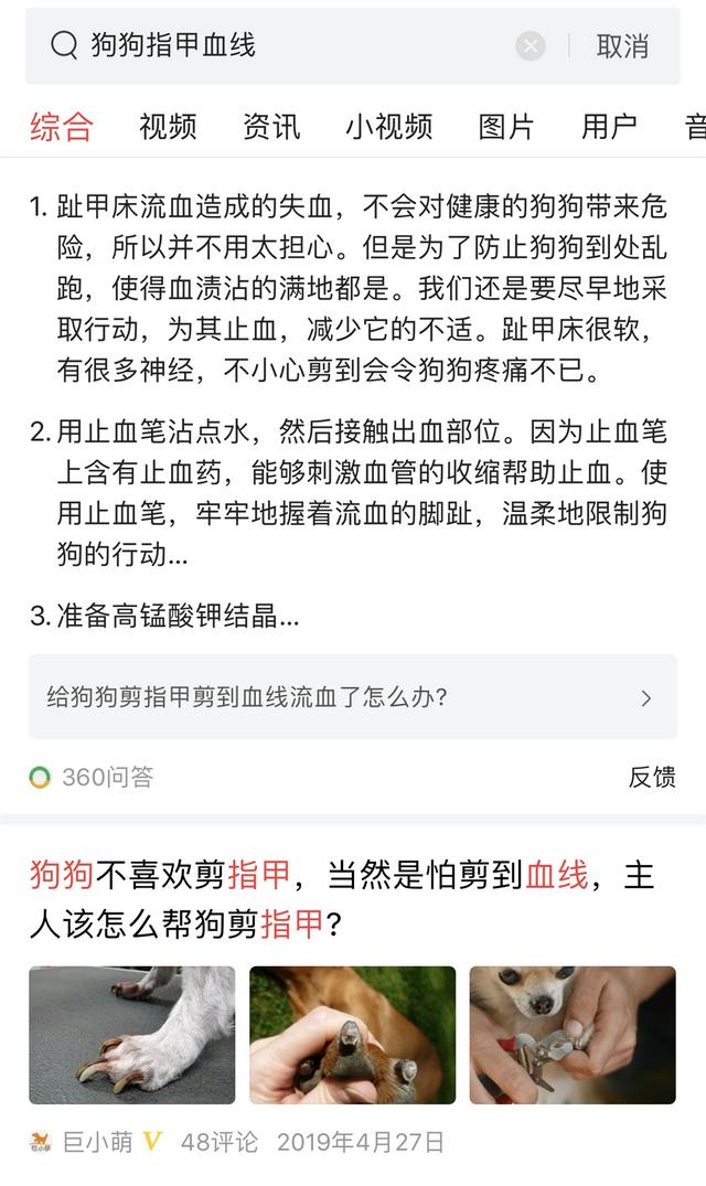 普通剪刀可以给狗狗剪指甲吗，给狗狗剪指甲只是为了避免被抓伤