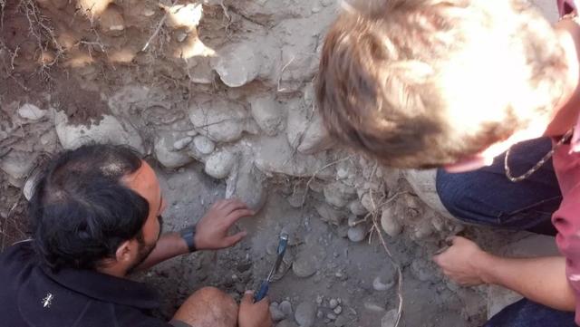 225年代代相传的阿尔萨斯名庄，阿根廷一级名庄