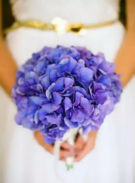 初学者的首选插花应该用哪些花材，需要进购哪些花材