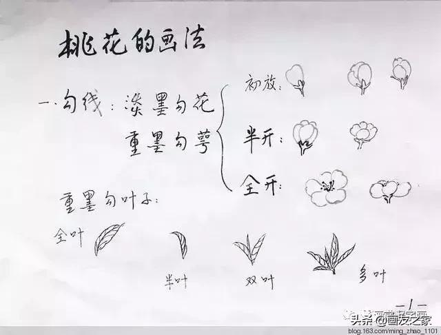 花鸟工笔画的基本步骤，工笔花鸟画法合集