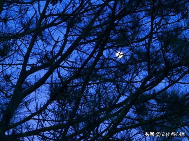 王维25首山水诗代表作，王维山水诗的经典之作