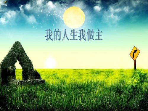 飞行员招飞条件，想成为飞行员民航