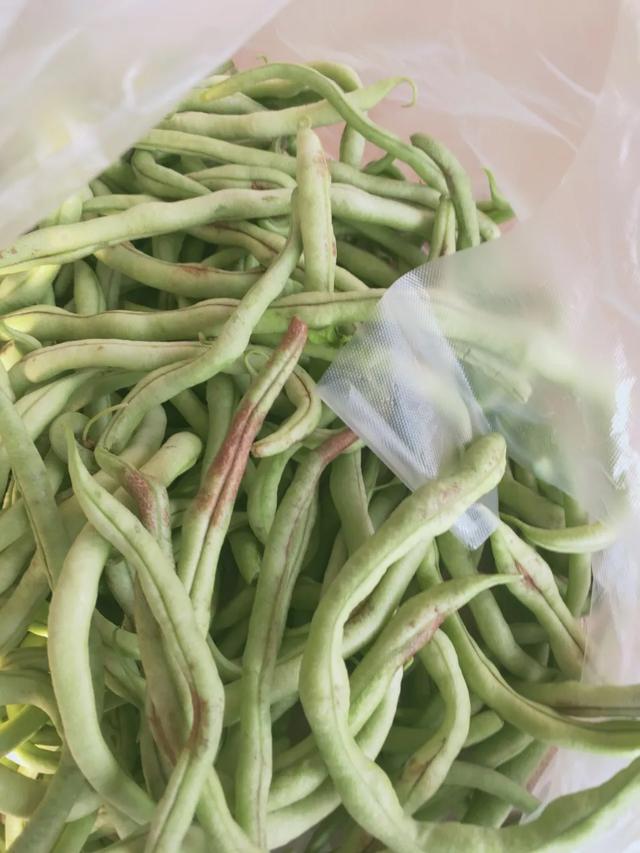 蓟马，蓟马为什么这么防治