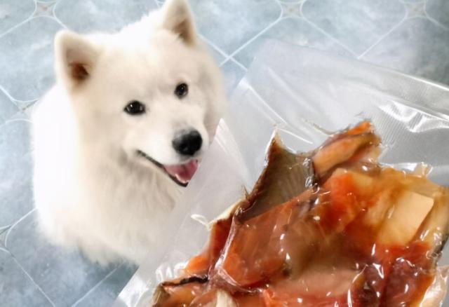 狗狗喜欢吃什么，狗狗爱吃什么食物对身体好（狗狗超爱吃的6种食物）