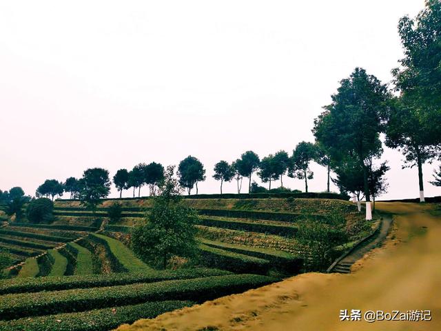 峨眉山乐山旅游，乐山攻略必去十大景点（ChatGPT五分钟整理一套乐山/峨眉山旅游攻略）