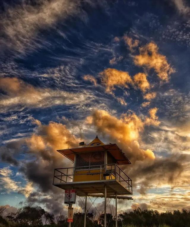 道德经悟道技巧，树袋熊大话助读《道德经》第十六章