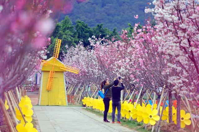 广东佛山风景区旅游景点大全，佛山走红一景区
