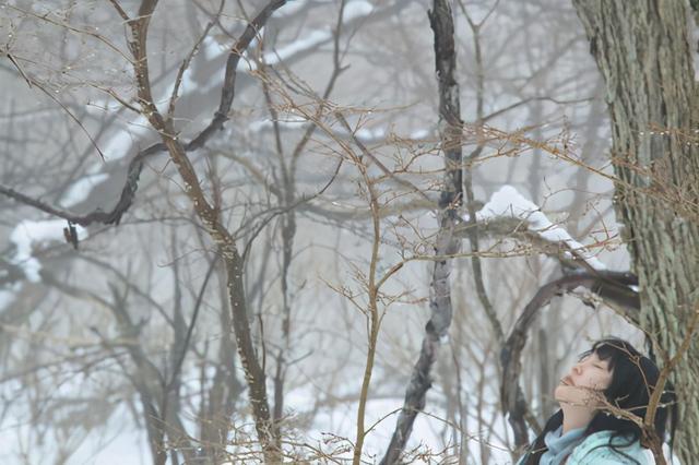 木月为什么自杀，真正能读懂挪威的森林