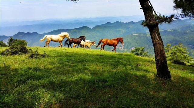 荆州一日游旅游景点推荐，六处必去的人文古迹在哪