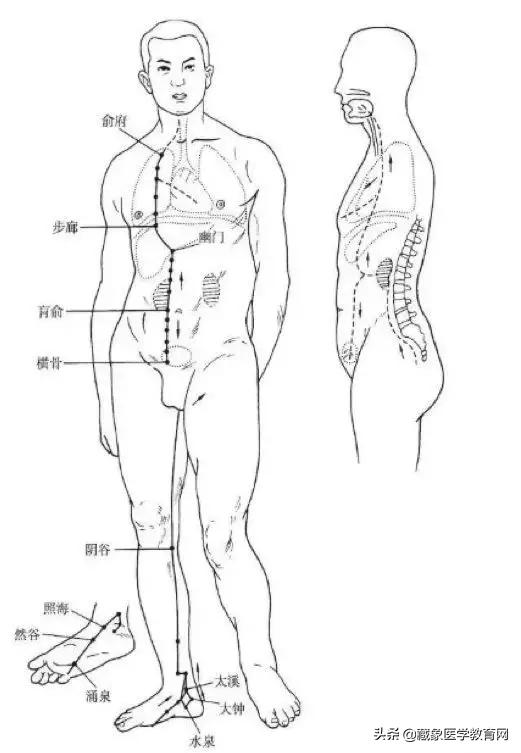 十二经络循行路线，十二经脉循行走向与交接规律图解（<十分钟教你终生不忘）