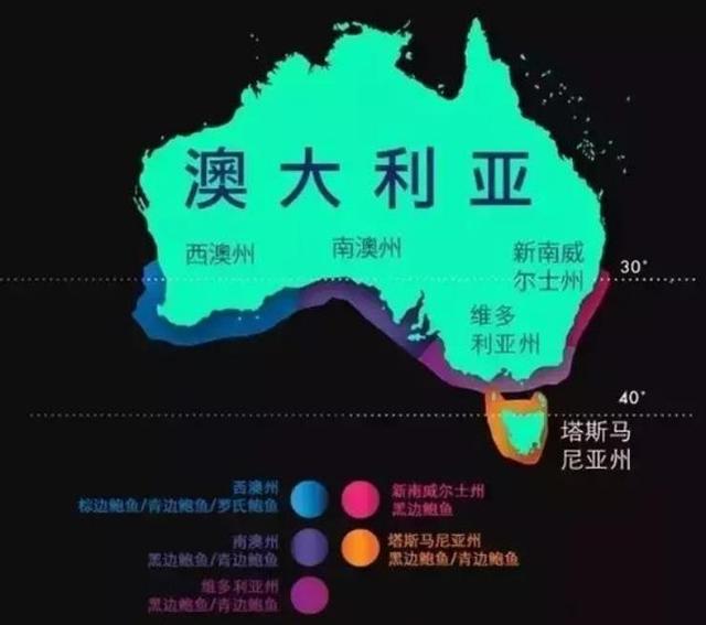 20种鲍鱼种类，世界鲍鱼品种大全