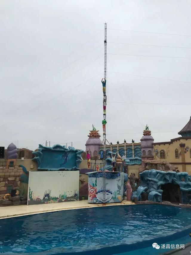 杭州长乔极地海洋公园，杭州长乔极地海洋公园亲子游（杭州海底世界的“老朋友”还好吗）