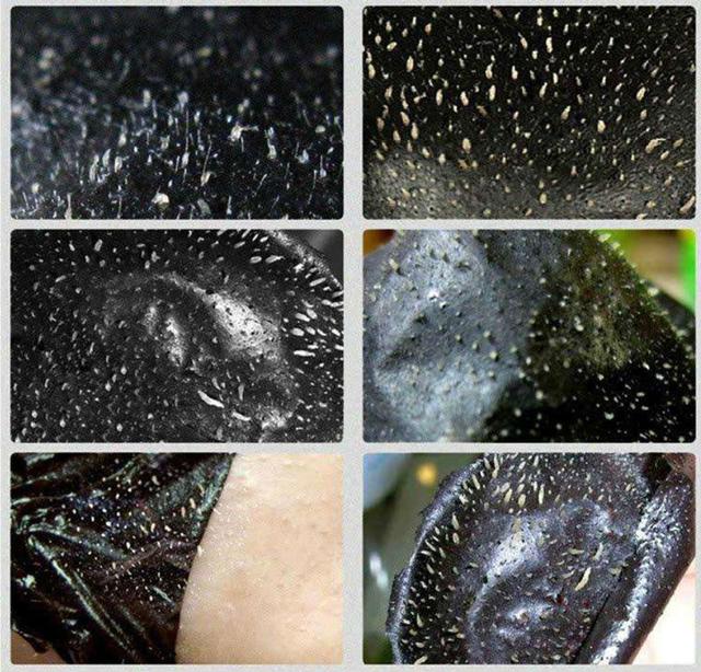 撕拉面膜解压，我的脸就是被撕拉坏了