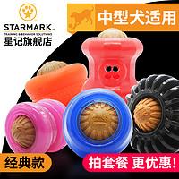 可爱的柯基怎么养成的，一步到位教你养好柯基狗