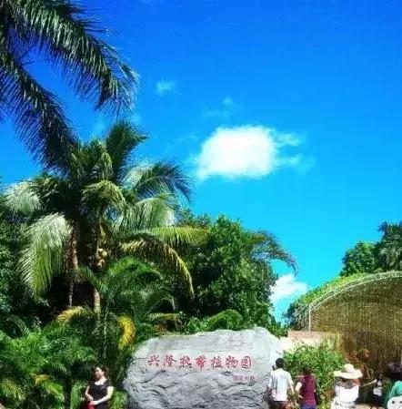 海口有什么好玩的景点，海南最值得玩十大景点（海南50个景点大全）