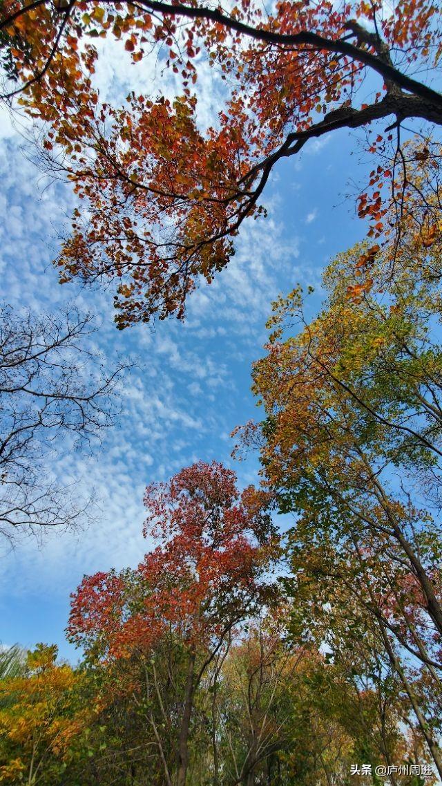 人生九言经典语录，我自己的人生，我想自己决定