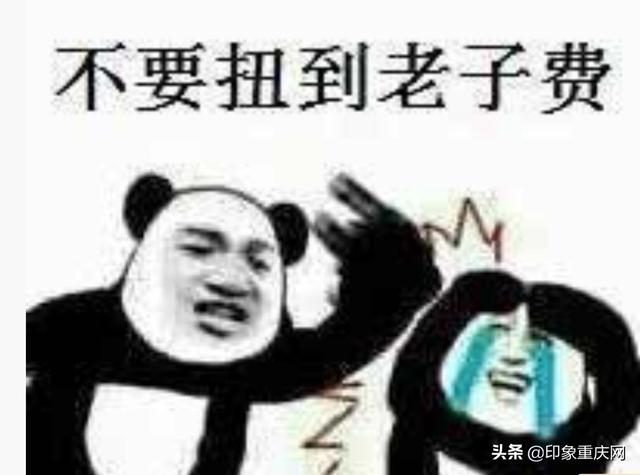 话说重庆言子，重庆言子的来历