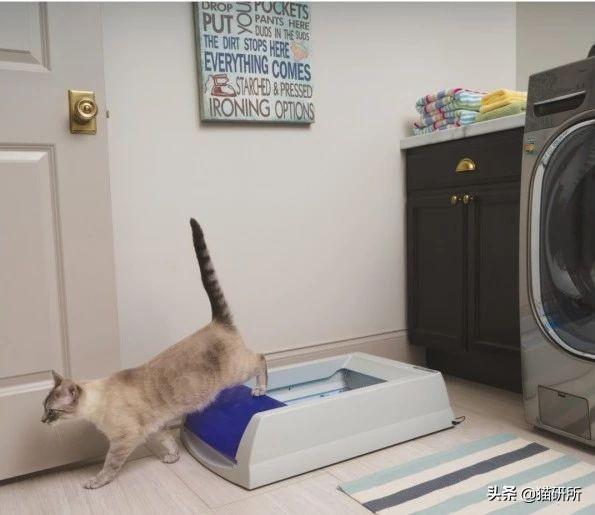 买猫砂盆哪种比较好，猫砂盆最全选购指南