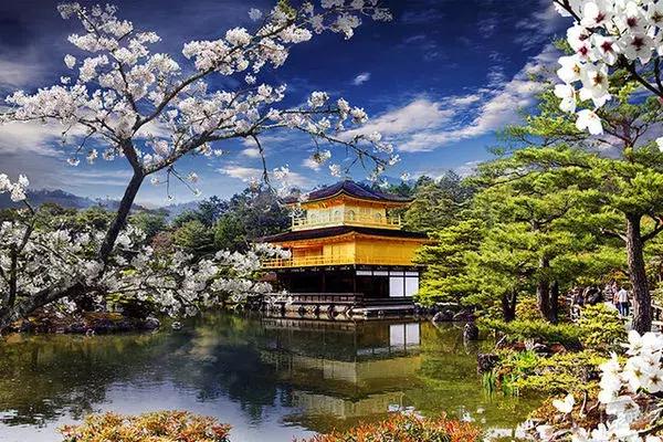 去日本旅游自由行注意事项，日本旅游攻略干货篇