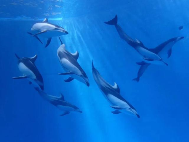 昆明梦幻联邦乐园什么值得玩，昆明周边惊现世界奇迹上的欢乐王国