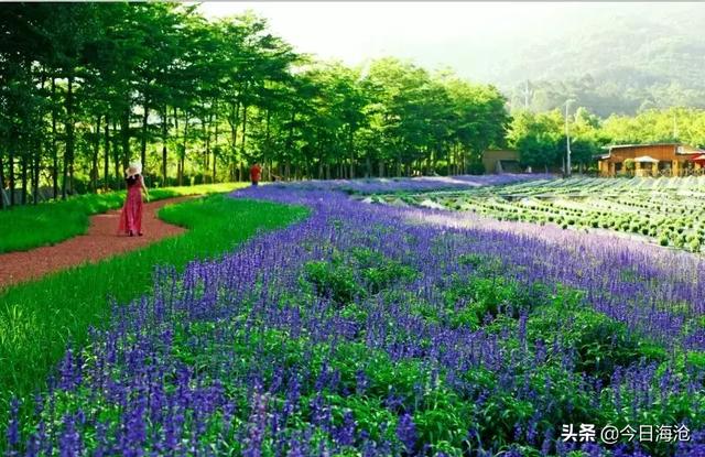 厦门咖啡一条街，厦门环东海域滨海旅游浪漫线（来厦门，必打卡的六个景点）