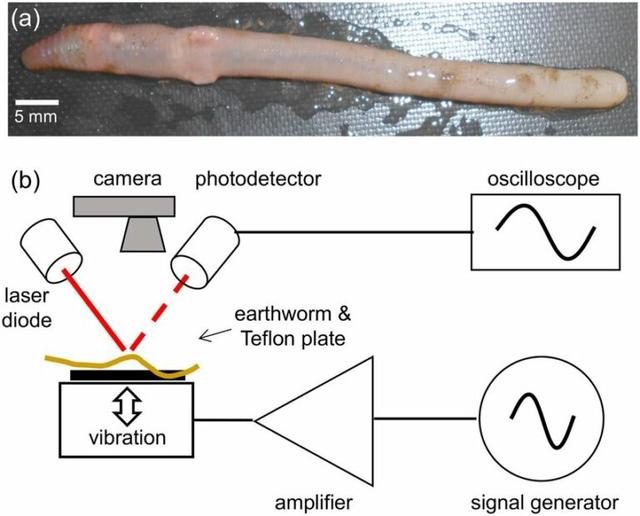 世界上最搞笑的诺贝尔奖，100万亿奖金的搞笑诺贝尔奖
