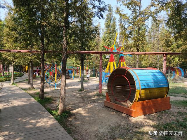 临沂龙园旅游区攻略，不仅传播龙文化