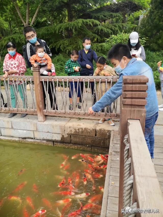 南宫旅游十大必去景点，假日乡村打卡丨夏日来南宫看民族主题花车巡游