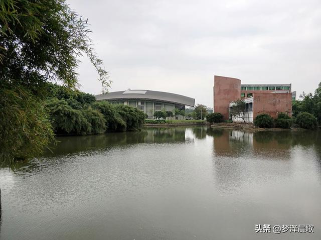 美丽大方的校园，郑州市创新实验学校金桂街校区开展“最美教室”活动