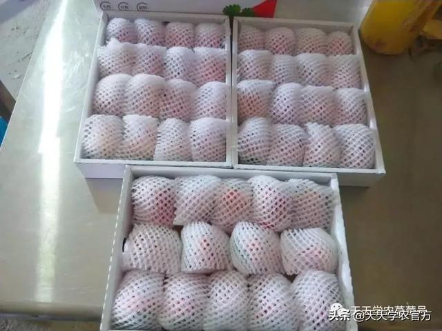 冬天的草莓怎么吃，冬天的草莓还能这样吃