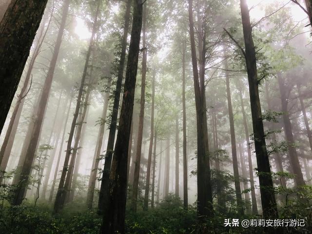 徒步南迦巴瓦峰最佳观景台，雾中徒步薄刀峰