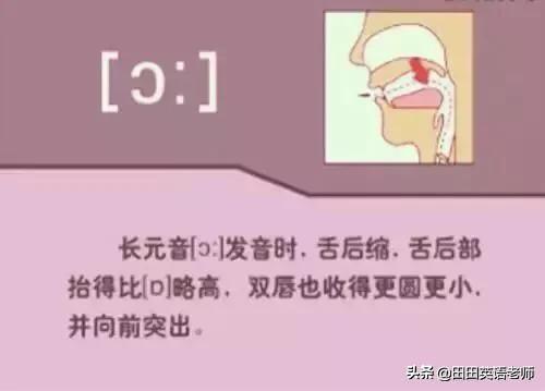 英语音标怎么学，初学英语者必看如何学习国际音标（资深老教师说：音标就该这样学）