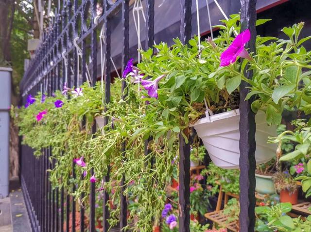 广州东山口有什么好玩的老城区，广州记忆东山口