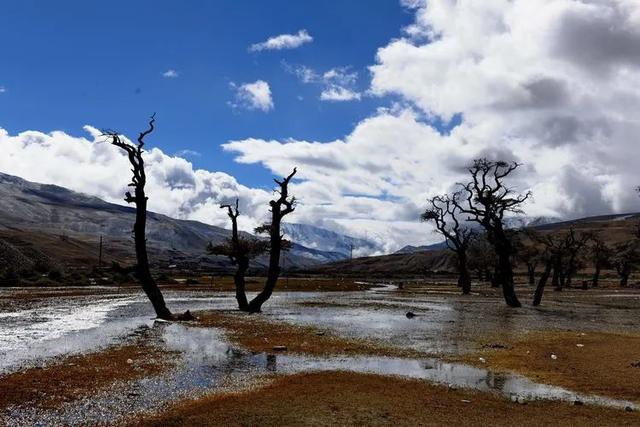 山南旅游景点大全，山南旅游最美景点