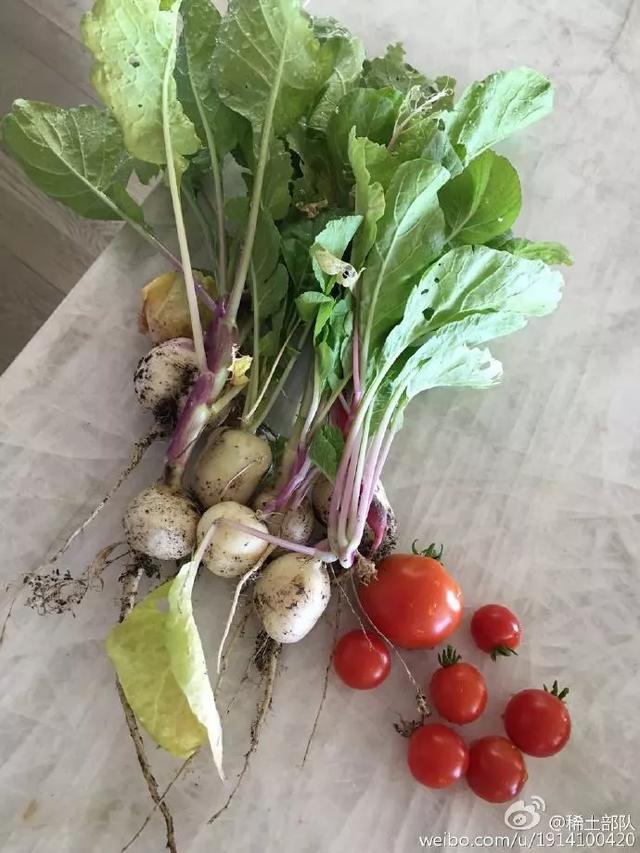 只有这件事能让全中国年轻人偷偷快乐