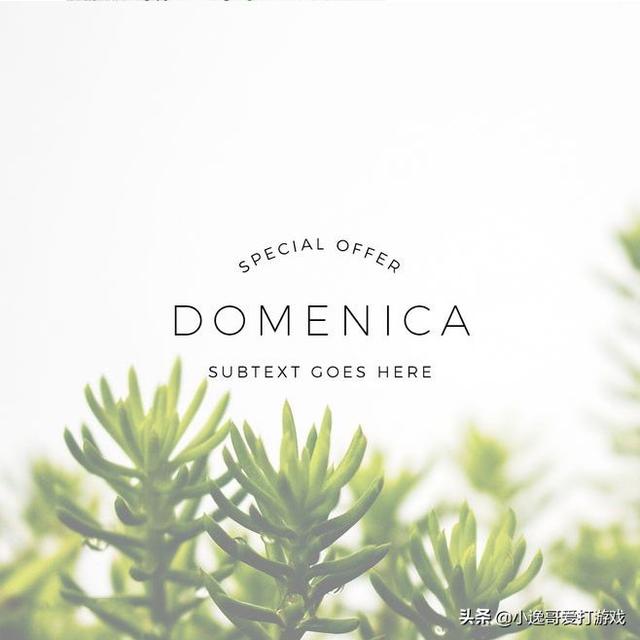 精美一句话唯美短句，超美文艺小短句