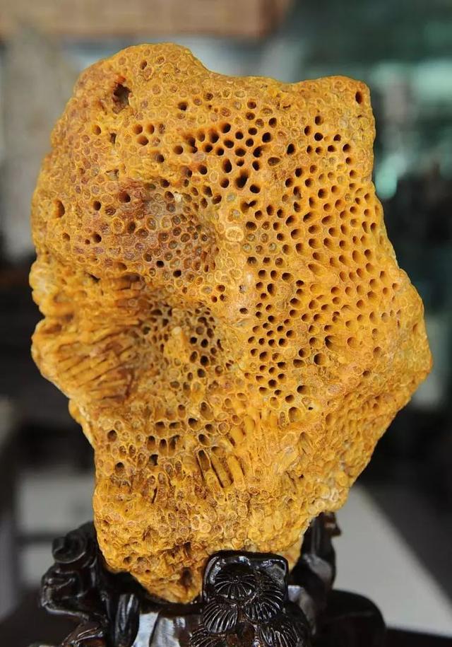 什么样类型的玉石最好，必看身价大不同