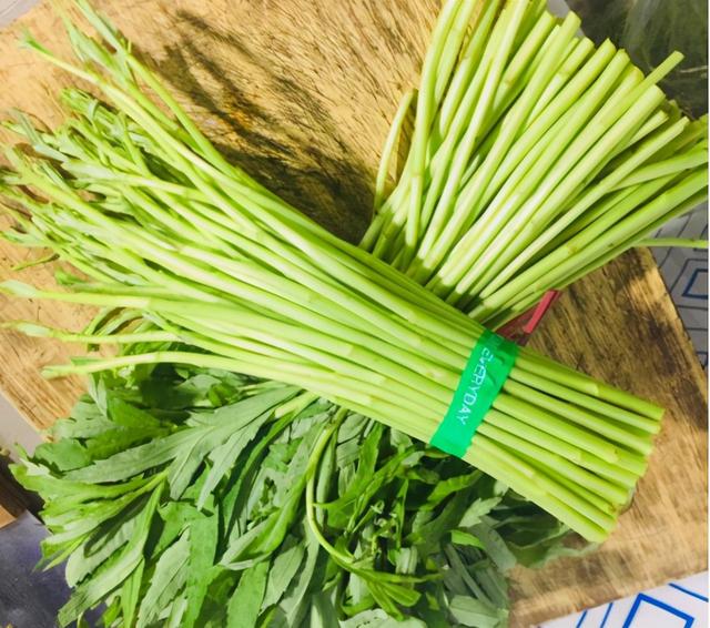 生长在水边酷似艾草，地蚕草是宝塔菜吗