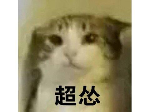 steam价格，steam价格最高的十款游戏