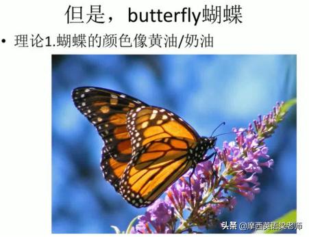 蝴蝶英语怎么读，蝴蝶的英文名为什么叫butterfly（史上超全动物英文名称汇总及配图）