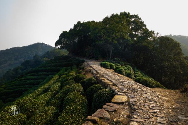 杭州最全登山路线图，可能是杭州最美登山路线之一