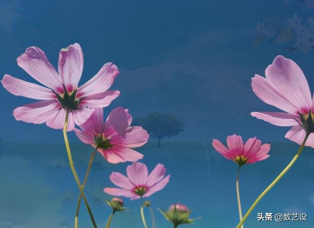 ps抠图九大原则，精通Photoshop抠图不算什么