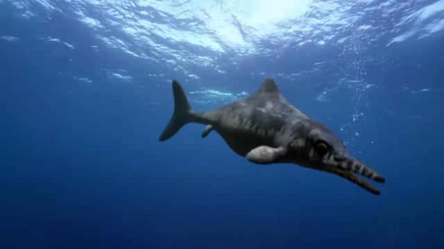 超逼真的恐龙纪录片，4部最值得看的超高分恐龙纪录片